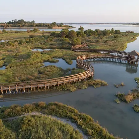 Bright Surrounded By Greenery Rosolina Mare