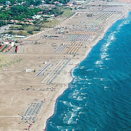 Apartman Bright Surrounded By Greenery