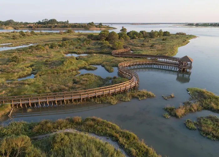 Bright Surrounded By Greenery ロゾリーナ・マーレ