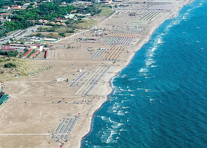 Apartman Bright Surrounded By Greenery