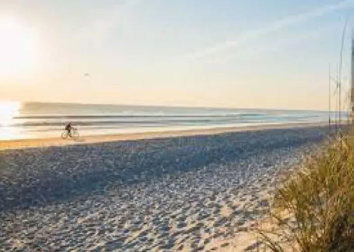 Bright Surrounded By Greenery Apartman *