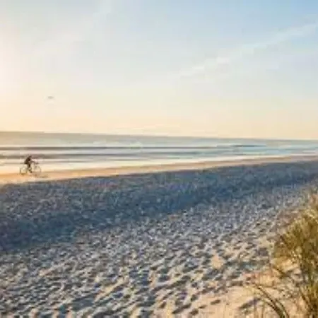 Bright Surrounded By Greenery Апартаменты *