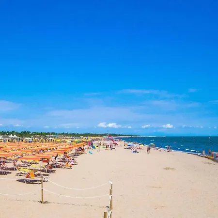 Bright Surrounded By Greenery