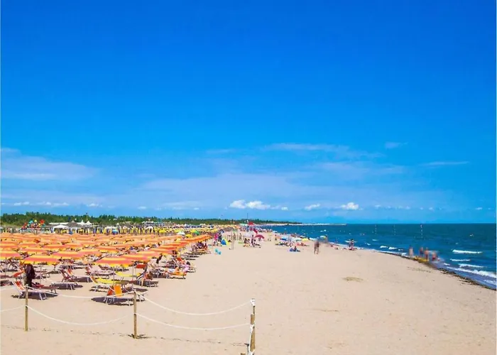 Bright Surrounded By Greenery